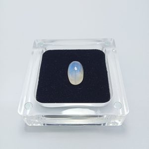 Blue Moon